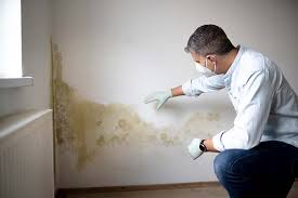 Reliable Tower City, PA Mold Remediation Solutions